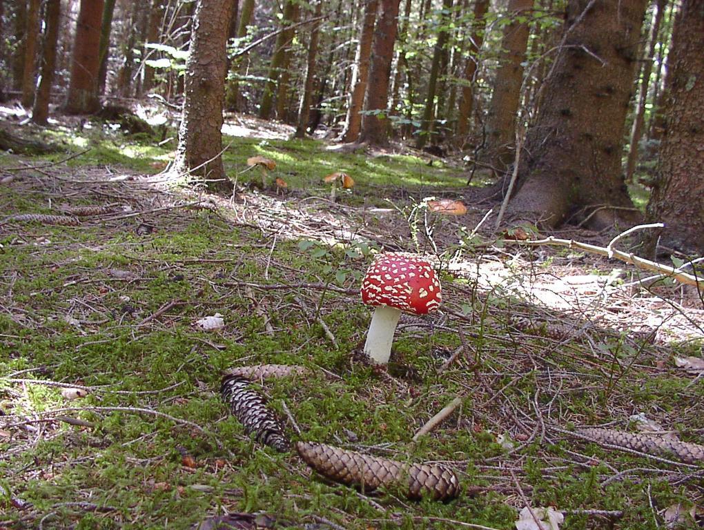 Gaestehaus Eichwald Neuenburg  Eksteriør bilde
